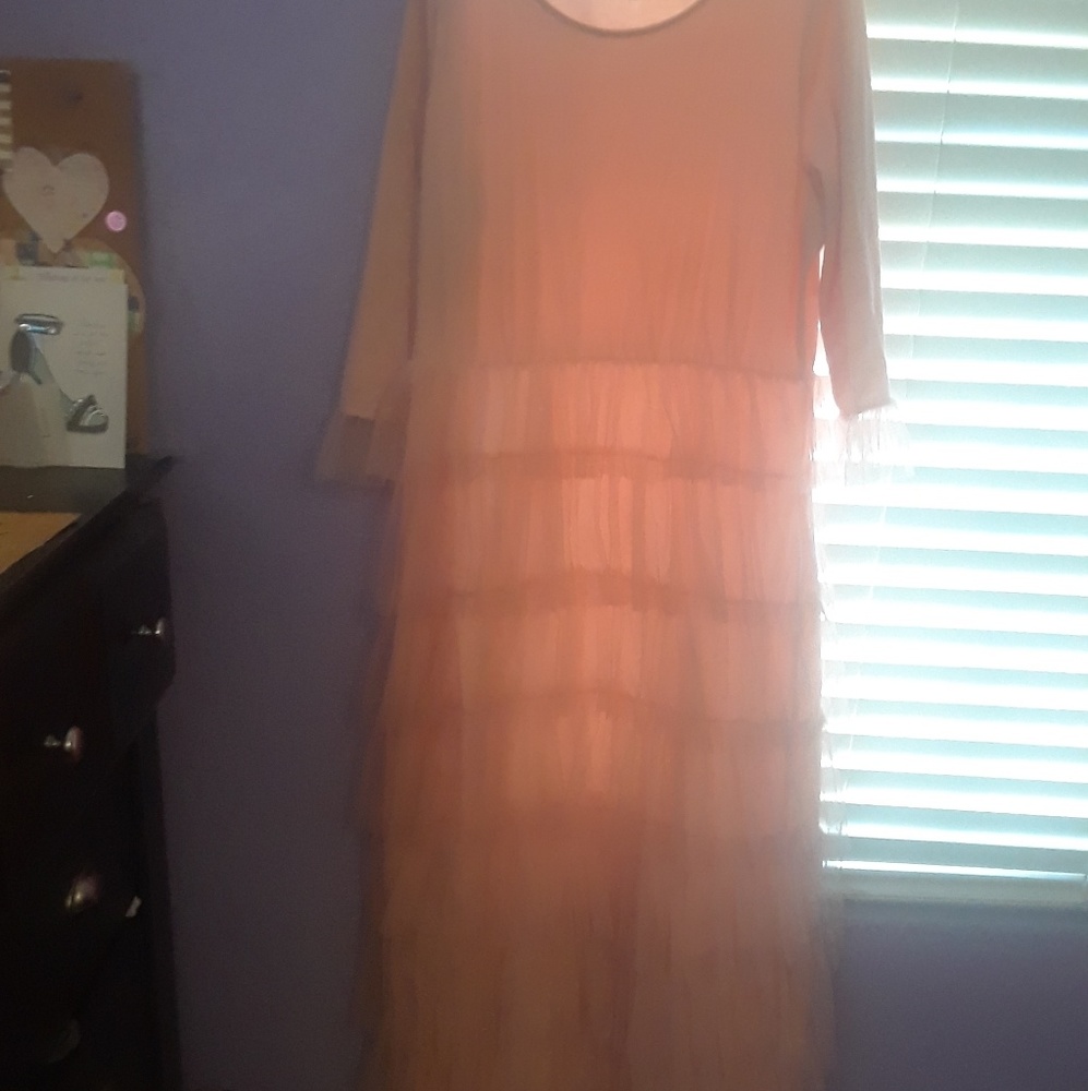 Daintyjwells dress
